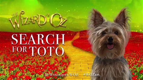 toto Search